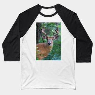 White-tailed deer Buck Baseball T-Shirt